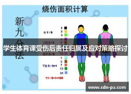 学生体育课受伤后责任归属及应对策略探讨