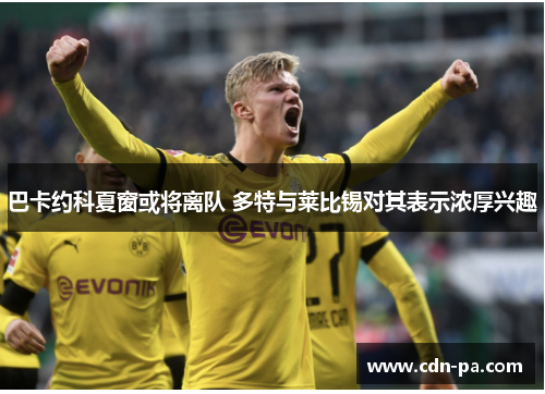 巴卡约科夏窗或将离队 多特与莱比锡对其表示浓厚兴趣