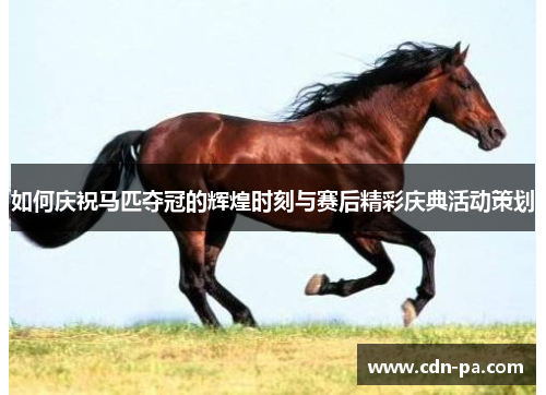 如何庆祝马匹夺冠的辉煌时刻与赛后精彩庆典活动策划