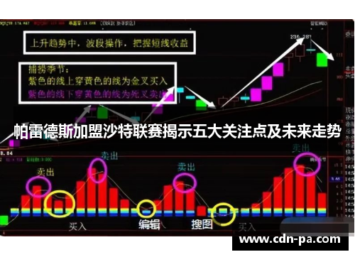 帕雷德斯加盟沙特联赛揭示五大关注点及未来走势
