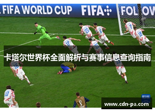 卡塔尔世界杯全面解析与赛事信息查询指南