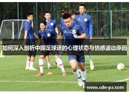 如何深入剖析中国足球迷的心理状态与情感波动原因