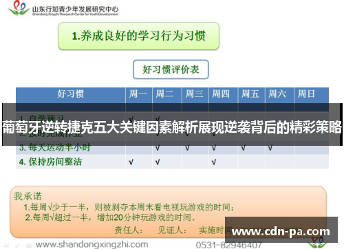 葡萄牙逆转捷克五大关键因素解析展现逆袭背后的精彩策略