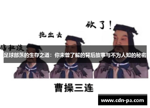 足球部落的生存之道：你未曾了解的背后故事与不为人知的秘密