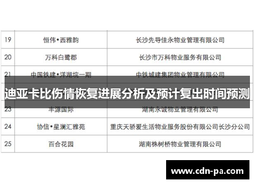 迪亚卡比伤情恢复进展分析及预计复出时间预测