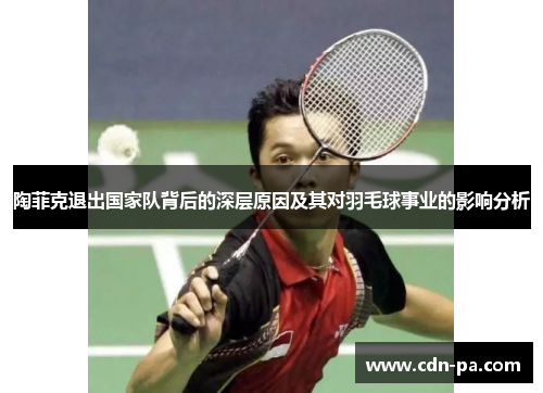 陶菲克退出国家队背后的深层原因及其对羽毛球事业的影响分析
