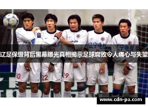 辽足保级背后黑幕曝光真相揭示足球腐败令人痛心与失望