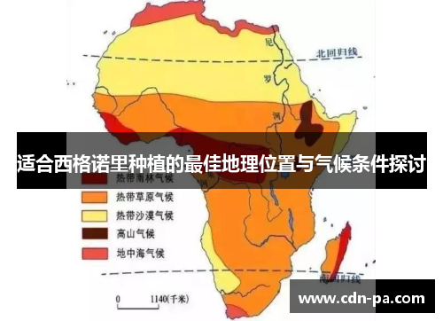 适合西格诺里种植的最佳地理位置与气候条件探讨