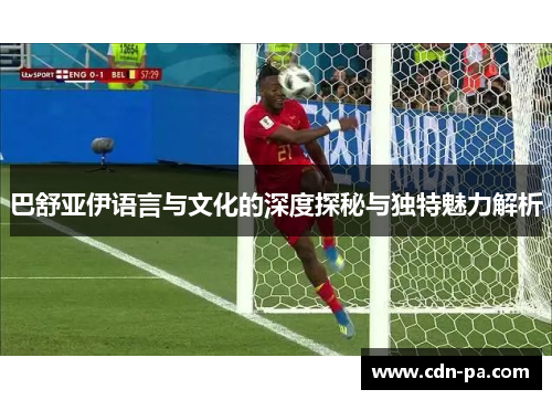 巴舒亚伊语言与文化的深度探秘与独特魅力解析