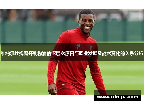 维纳尔杜姆离开利物浦的深层次原因与职业发展及战术变化的关系分析 维纳尔杜姆离开利物浦的深层次原因与职业发展及战术变化的关系分析