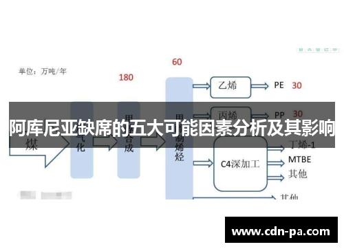 阿库尼亚缺席的五大可能因素分析及其影响