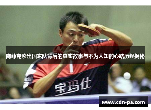 陶菲克淡出国家队背后的真实故事与不为人知的心路历程揭秘