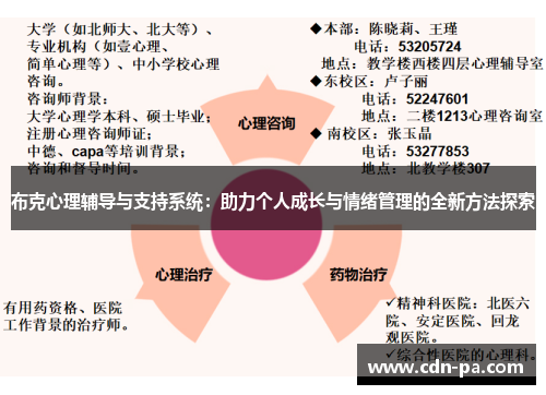 布克心理辅导与支持系统：助力个人成长与情绪管理的全新方法探索