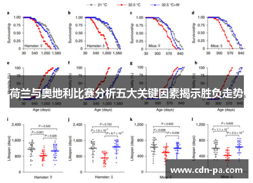 荷兰与奥地利比赛分析五大关键因素揭示胜负走势 荷兰与奥地利比赛分析五大关键因素揭示胜负走势