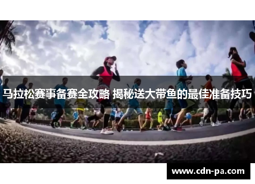 马拉松赛事备赛全攻略 揭秘送大带鱼的最佳准备技巧